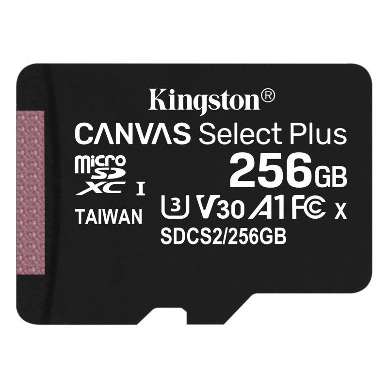 Kingston SDCS2/256GB